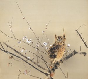 Primi fiori di prugna da Nishimura Goun